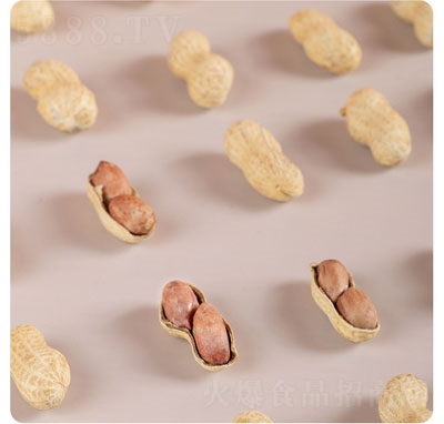 �������Ƥζ�����ɹ���(ji��n)������