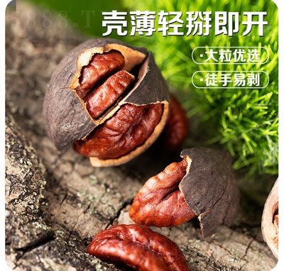 ������ˮ��ζɽ���Ҹɹ���(ji��n)��ʳƷ