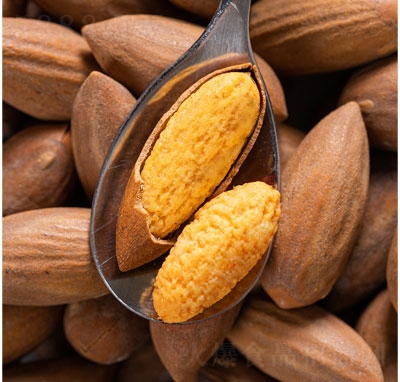 ����������Ӹɹ���(ji��n)�����e��ʳ����