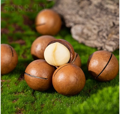 �����������Ĺ��ɹ���(ji��n)������