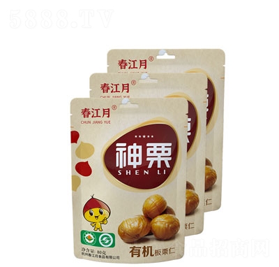 �����°��������e�������T