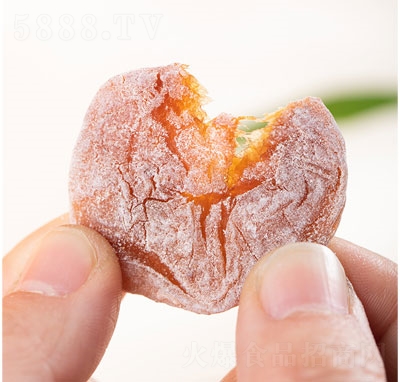 ��������ʽ����÷������T