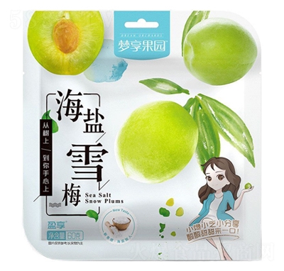 �������@���}ѩ÷�������T���̴���