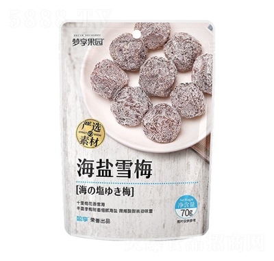 ӯ�����}ѩ÷�����������T