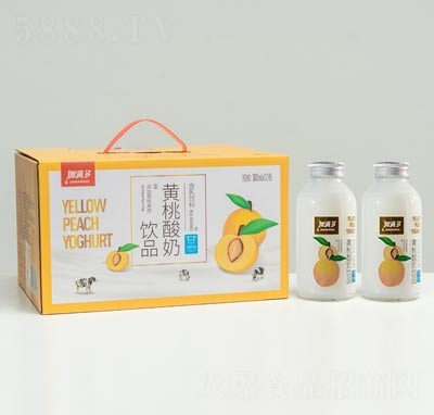 �ӝM���S�������Ʒ300ml��12ƿ