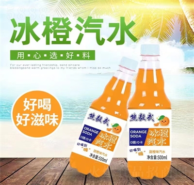 �����������ˮ̼�����500ml