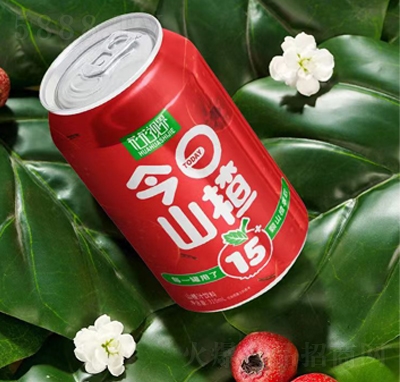 ����ҕ�����ɽ�ɽ�֭���310ml