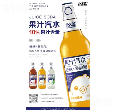 ����Ĺ�֭��ˮ̼�����500ml