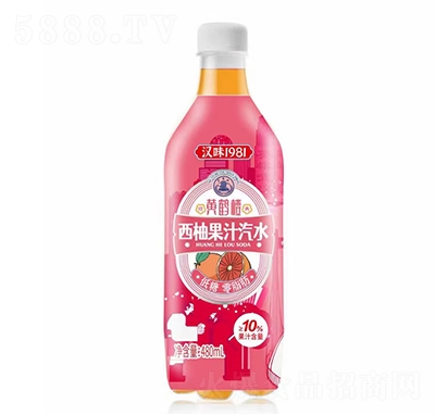 �hζ1981�S�Q�����ֹ�֭��ˮ̼�����480ml