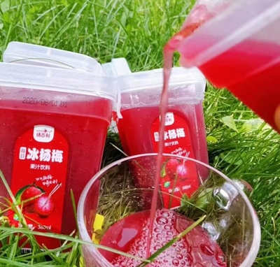 揚(yáng)百利楊梅果汁飲料500毫升