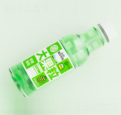 ������˹������֭��(f��)�Ϲ�֭�������֭450ml