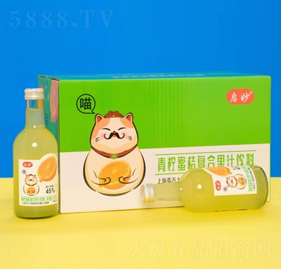 ���������۽ۏͺϹ�֭���300ml