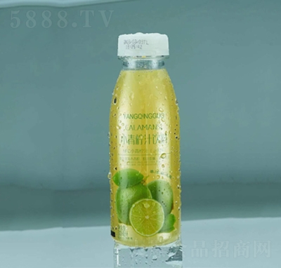 ̩��С����֭��֭���300ml