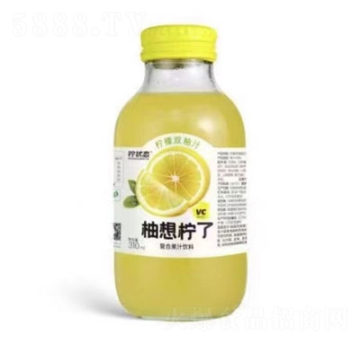 ����B(t��i)��(f��)�Ϲ�֭��ϙ����p��֭310ml
