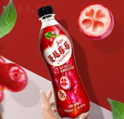 С����Խݮݮ����Ԫ��Խݮ�K���w���֭��ˮ