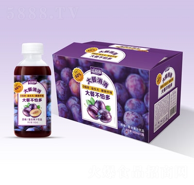 ���Դ���������÷�ͺϹ�֭�Ʒ500mlX15