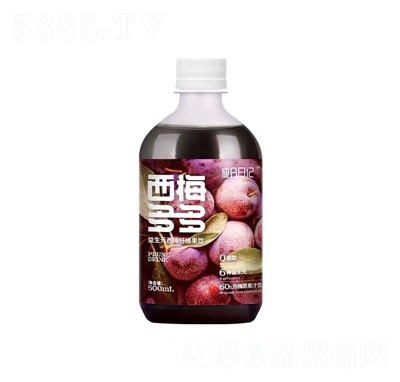 �ɷ���ӛ��÷������÷֭��֭500ml����