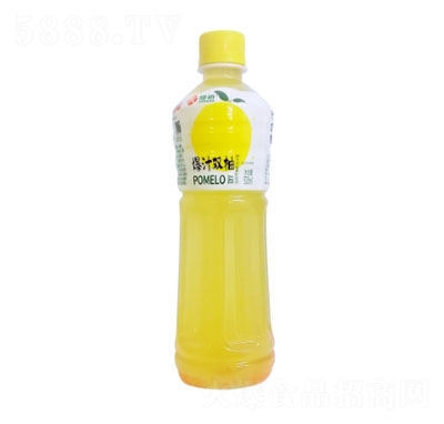 ����Aƿ500ml��ζ��ϱ�֭�p��֭