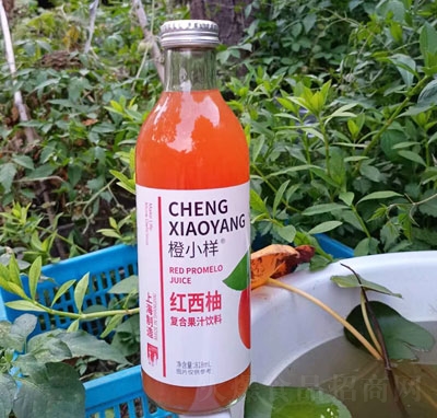 ��С�Ӽt���֏�(f��)�Ϲ�֭���818ml