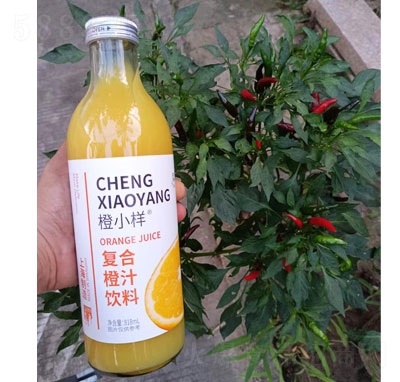 ��С�ӏͺϳ�֭���818ml