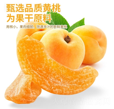 ���N�S�Ҹ����e�������T