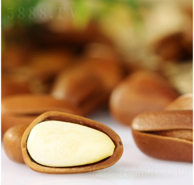 ���N�_�����Ӹɹ���(ji��n)����ʳ