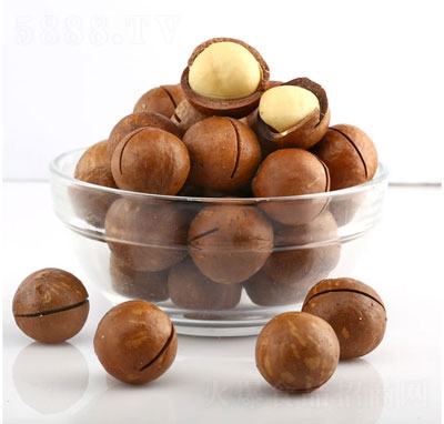 鼠大廚夏威夷果堅果干果