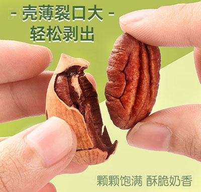 �ȱ���̸����Թ��ɹ���ʳ