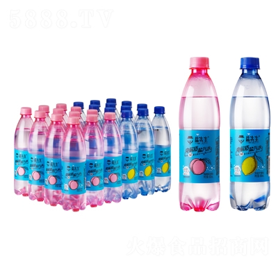 鹽先生電解質(zhì)鹽汽水海鹽多口味600ml