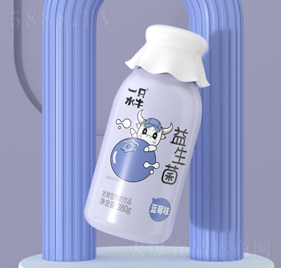 һֻˮţ�����������Ʒ�{(l��n)ݮζ380g