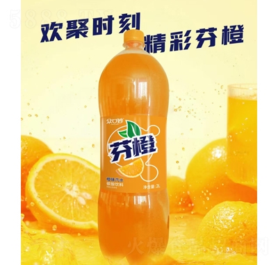 �������ζ��ˮ̼�����2L