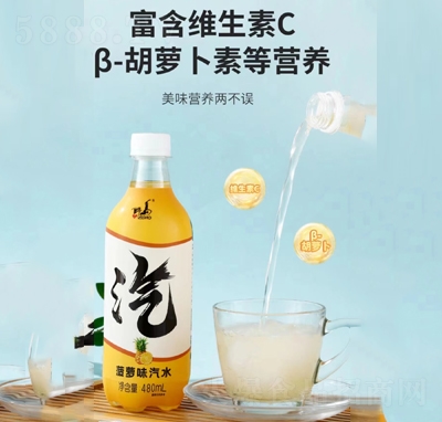 ���ഺ���}ζ��ˮ480����̼�����