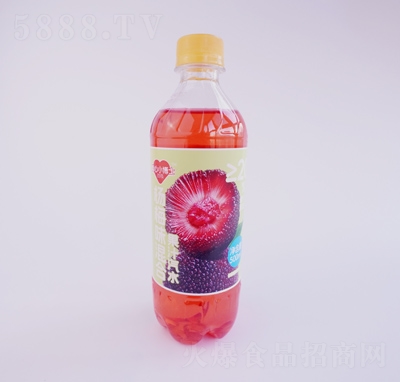 ����С��ʿ��÷��֭��ˮ500ml