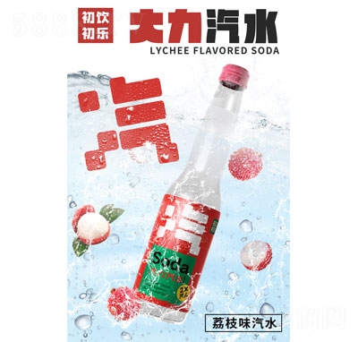 �����(l��)��֦ζ��(f��)�Ϲ�֭��ˮ300g