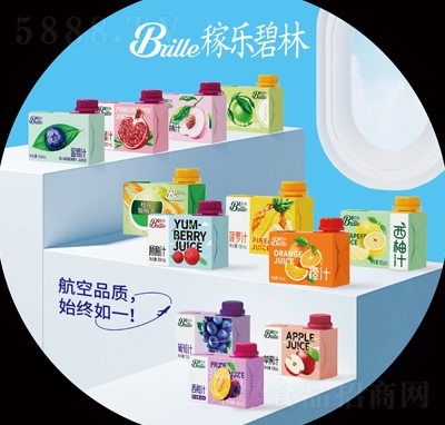 �ژ�����������̹�֭���100ml