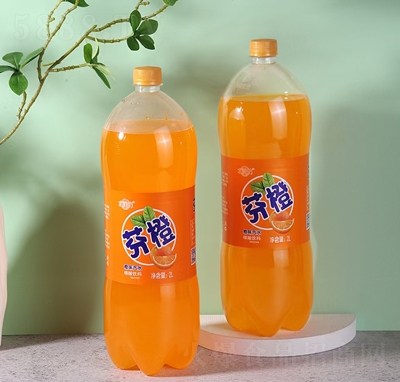 ˮ�����ҳȳ�ζ��ˮ̼�����2L