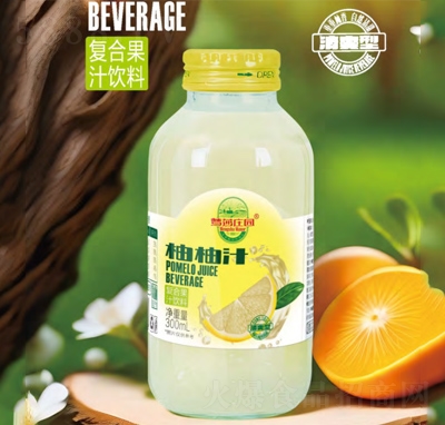 ��ɯ�f�@����֭��֭���300ml