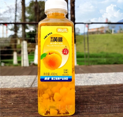 ����(zh��)�����S�ҏ�(f��)�Ϲ�֭�Ʒ490ml