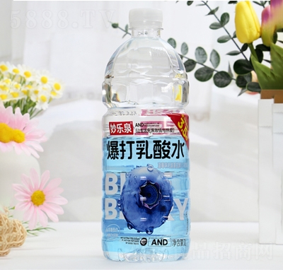 �(l��)Ȫ��������ˮ��ζ���1L