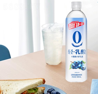 �������{ݮζ�������ζ���500ml�W(w��ng)�t��ζˮ