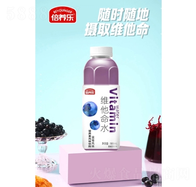 倍養(yǎng)樂(lè)維他命水藍(lán)莓風(fēng)味500ml
