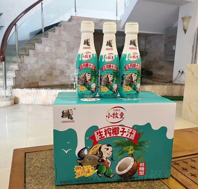 С��ͯ��եҬ��ֲ֭�ﵰ���Ʒ500gX15ƿ