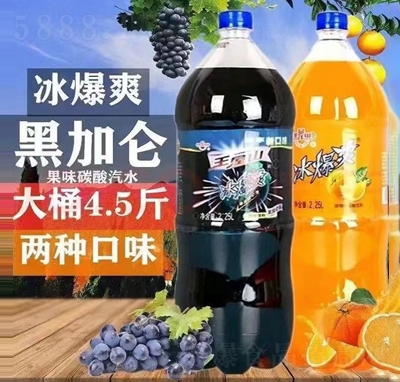 ����ɽ̼�����2.5L