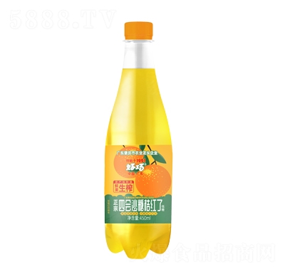 ���ɹ�֭��ˮ�ĕ�ɳ�ǽۼt��450ml