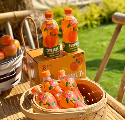 ��ؐ��ɳ�ǽۼt�˽�̼֭�������ˮ