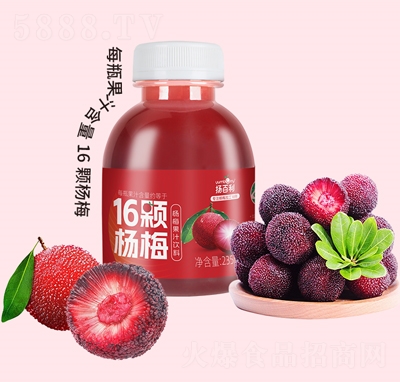 揚(yáng)百利楊梅汁果汁飲料380ml