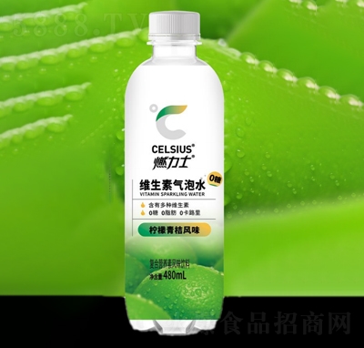 ȼ��ʿ�S���ؚ���ˮ��������Lζ480ml