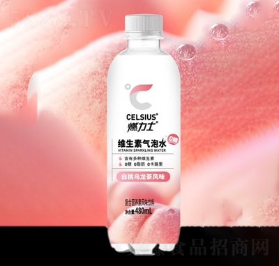 ȼ��ʿ�S���ؚ���ˮ���Ҟ������Lζ480ml