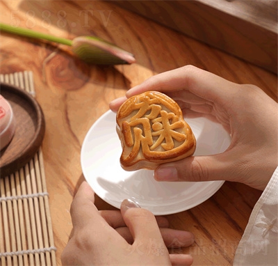 ��������Vʽ���ɢ�b��Y�Н���ţ�͹�