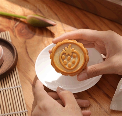 ��������Vʽ���ɢ�b��Y�����Ĳ�ݮ